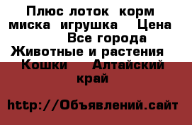 Плюс лоток, корм, миска, игрушка. › Цена ­ 50 - Все города Животные и растения » Кошки   . Алтайский край